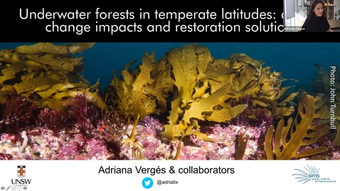 Thumbnail for BML - Dr. Adriana Vergés: &quot;Underwater forests in temperate latitudes: climate change impacts and restoration solutions&quot;