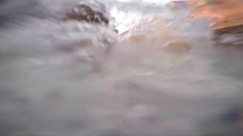 Thumbnail for in-focus-student-researcher-ambient.mov