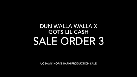 Thumbnail for Sale Order 3-Dalla In My Walla
