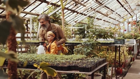 Thumbnail for Impact of Family First Placements