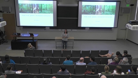 Thumbnail for Storer Lecture - Hopi Hoekstra - April 18th, 2019