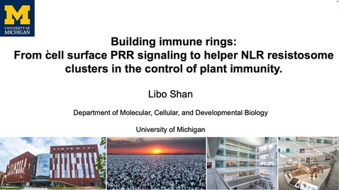 Thumbnail for Libo Shan - Building immune rings: From cell surface PRR signaling to helper NLR resistosome clusters in the control of plant immunity
