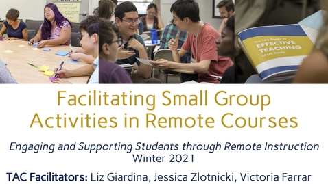 Thumbnail for CEE Graduate Student Workshop - Facilitating Small Group Activities in Remote Courses