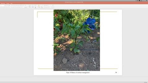 Thumbnail for Clip of Fundamentals of Nutrient Management (Part 3) May 21 Lecture.mp4