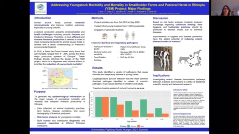 Thumbnail for UFWH 2021 - Gema Vidal_Addressing young stock morbidity and mortality in smallholder farms and pastoral herds in Ethiopia (YSM) project_ major findings.mp4