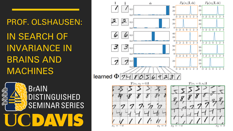 Thumbnail for entry In Search of Invariance in Brains and Machines