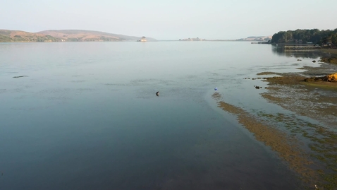 Thumbnail for 2024 OR Annual Report Video_3