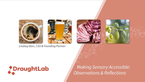 Thumbnail for Sensory Hub conference - Lindsay Barr - Making Sensory Accessible