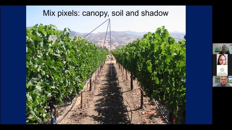 Thumbnail for entry Office Hours with Dave and Anita, Episode 13: New methods of assessing grapevine evapotranspiration demands and what it means to you