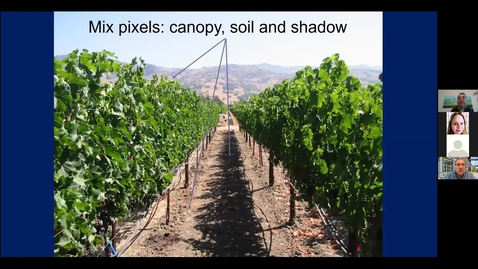 Thumbnail for Office Hours with Dave and Anita, Episode 13: New methods of assessing grapevine evapotranspiration demands and what it means to you