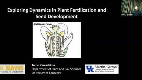 Thumbnail for Dr. Tomo Kawashima - Exploring Dynamics in Plant Fertilization and Seed Development