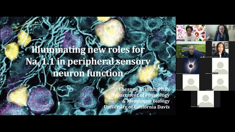 Thumbnail for entry CAMPOS Research Colloquium - Theanne Griffith - March 9, 2022