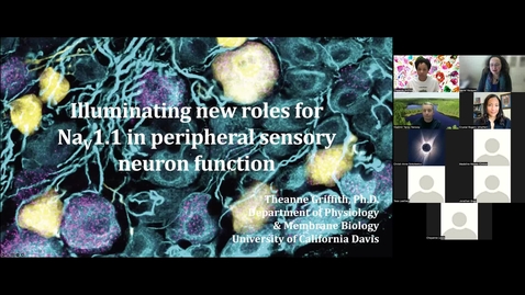Thumbnail for CAMPOS Research Colloquium - Theanne Griffith - March 9, 2022