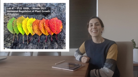 Thumbnail for PLS100BL Lab 7: Hormonal Regulation of Plant Growth (Ethylene)