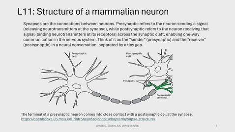 Thumbnail for BIO-003 Lecture 11: 2026-04-24 13:07