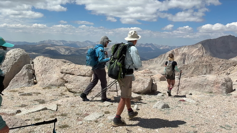 Thumbnail for In-Focus-Jeffrey-pine-ambient