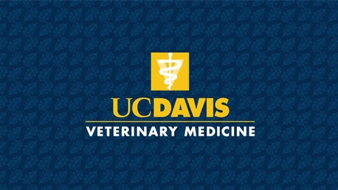 Thumbnail for Veterinary Medicine Commencement 2025