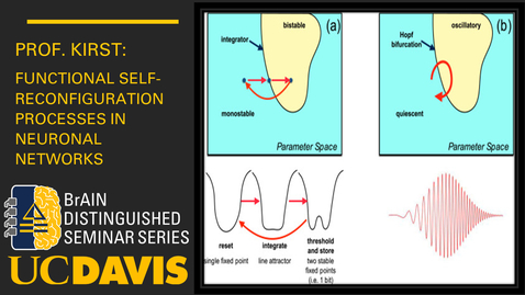 Thumbnail for Functional self-reconfiguration processes in neuronal networks