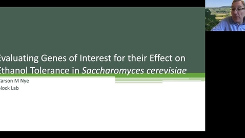 Thumbnail for entry VEN290 - Evaluating genes of interest for their effect on ethanol tolerance in Saccharomyces cerevisiae