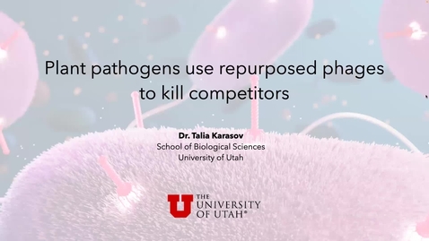 Thumbnail for Dr Talia Karasov - Bacterial pathogens suppress one another with repurposed phage machinery