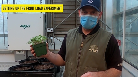 Thumbnail for PLS100BL Lab 5: Fruit Load Experiment Demo