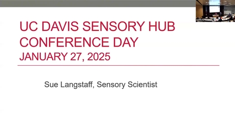 Thumbnail for Sensory Hub conference - Sue Langstaff - The Defects Wheel(s)