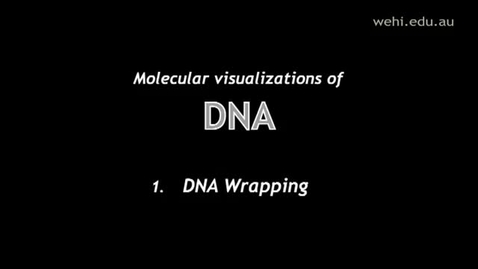 Thumbnail for entry Molecular Visualizations of DNA