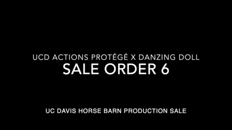 Thumbnail for Sale Order 6- Proteges Pirouette