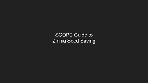 Thumbnail for entry Zinnia Seed Saving Video
