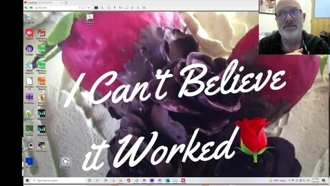 Thumbnail for Qick_bite2_dia-nn