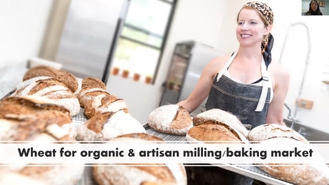 Thumbnail for WheatCAP Webinar Session Seven - Evaluating Bread Quality