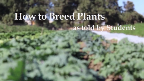Thumbnail for How to Breed Plants as told by students