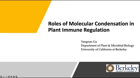 Thumbnail for Yangnan Gu - Towards Understanding of The Plant Nuclear Membrane and Its Role in Immune Regulation