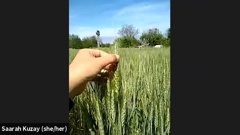 Thumbnail for entry Wheat Field Phenotyping