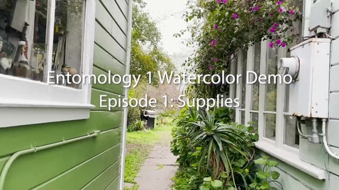 Thumbnail for entry Entomology 1 Watercolor Demo: Episode 1