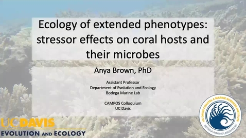 Thumbnail for entry CAMPOS Research Colloquium - Anya Brown - January 11, 2023