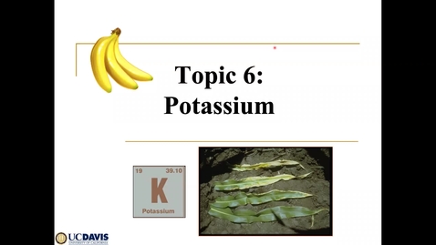 Thumbnail for entry Topic 6 Soil K SSC 109 2021