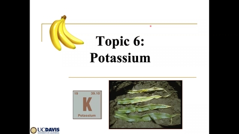 Thumbnail for Topic 6 Soil K SSC 109 2021