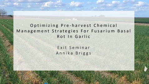 Thumbnail for Annika Briggs - Exit Seminar: Optimizing Pre-harvest Chemical Management Strategies for Fusarium Basal Rot in Garlic