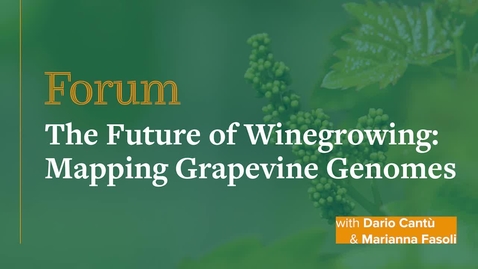 Thumbnail for Forum: The Future of Winegrowing: Mapping Grapevine Genomes
