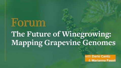 Thumbnail for entry Forum: The Future of Winegrowing: Mapping Grapevine Genomes