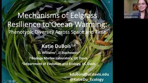 Thumbnail for entry BML - Dr. Katie DuBois: &quot;Mechanisms of Eelgrass Resilience to Ocean Warming: Phenotypic Diversity Across Space and Time&quot;