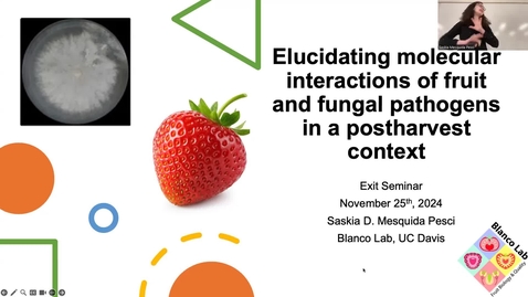 Thumbnail for Saskia Mesquida Pesci - Exit Seminar: Elucidating molecular interactions of fruit and fungal pathogens in a postharvest context