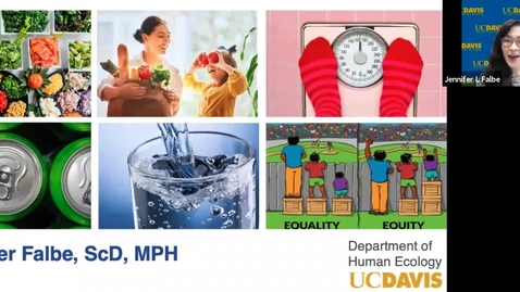 Thumbnail for Dr. Jen Falbe's Research