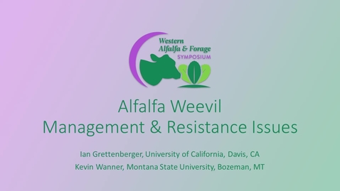Thumbnail for Session4_Grettenberger_Wanner_Weevil_Management