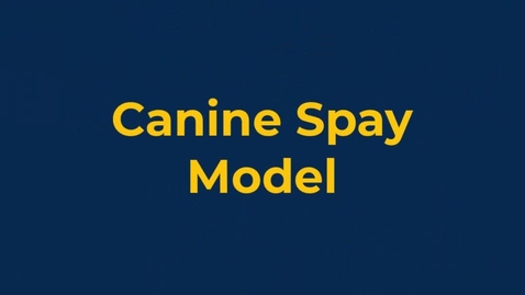 Thumbnail for entry Canine spay model 2024