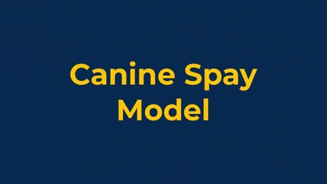 Thumbnail for Canine spay model 2024