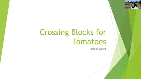 Thumbnail for entry Crossing Blocks (James)