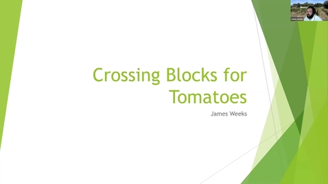 Thumbnail for Crossing Blocks (James)