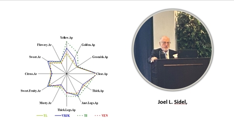 Thumbnail for Special Collections - History &amp; Development of QDA: Joel Sidel